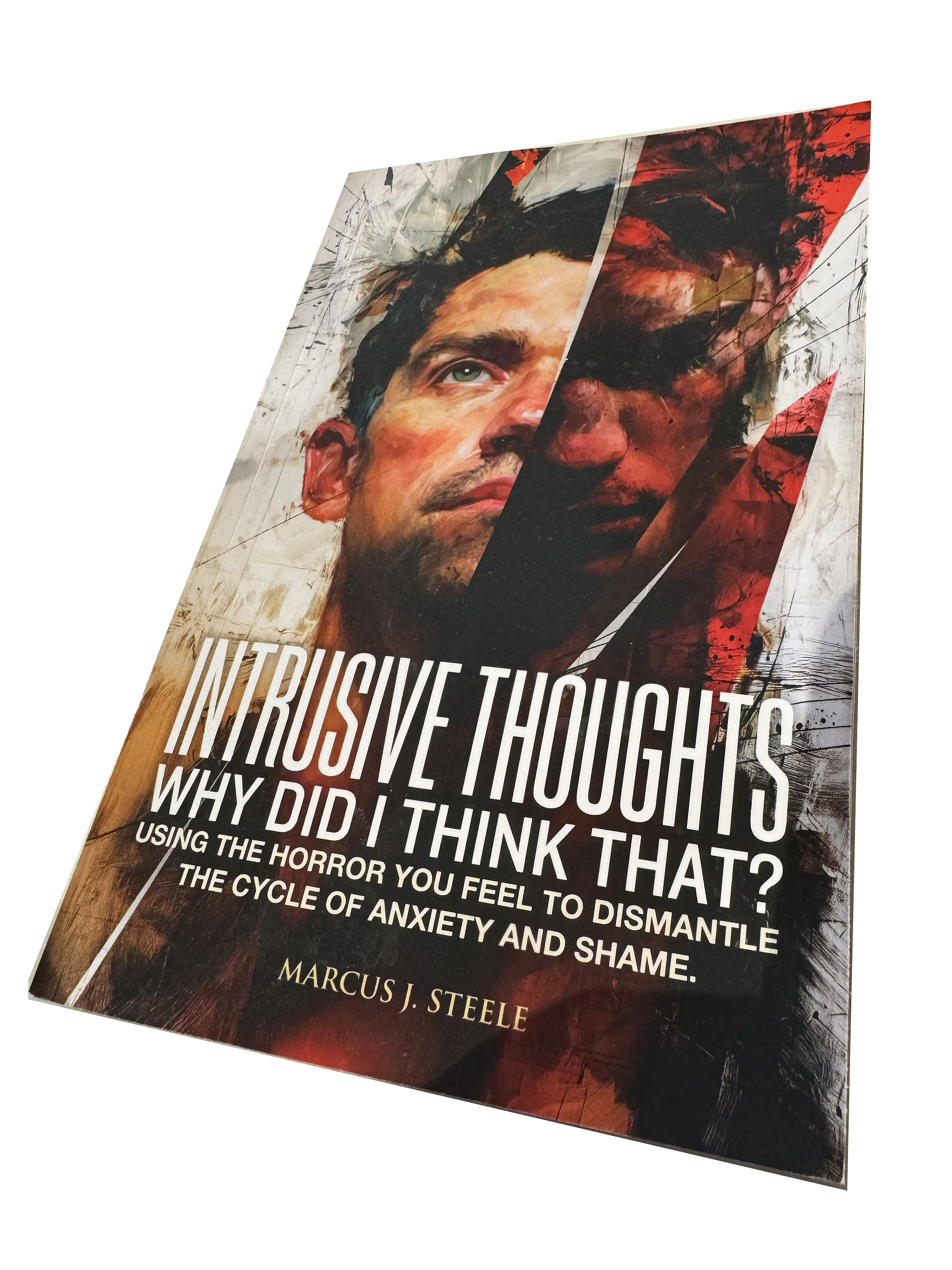 Intrusive Thoughts: Why Did I Think That?: Using the Horror You Feel to Dismantle the Cycle of Anxiety and Shame Book