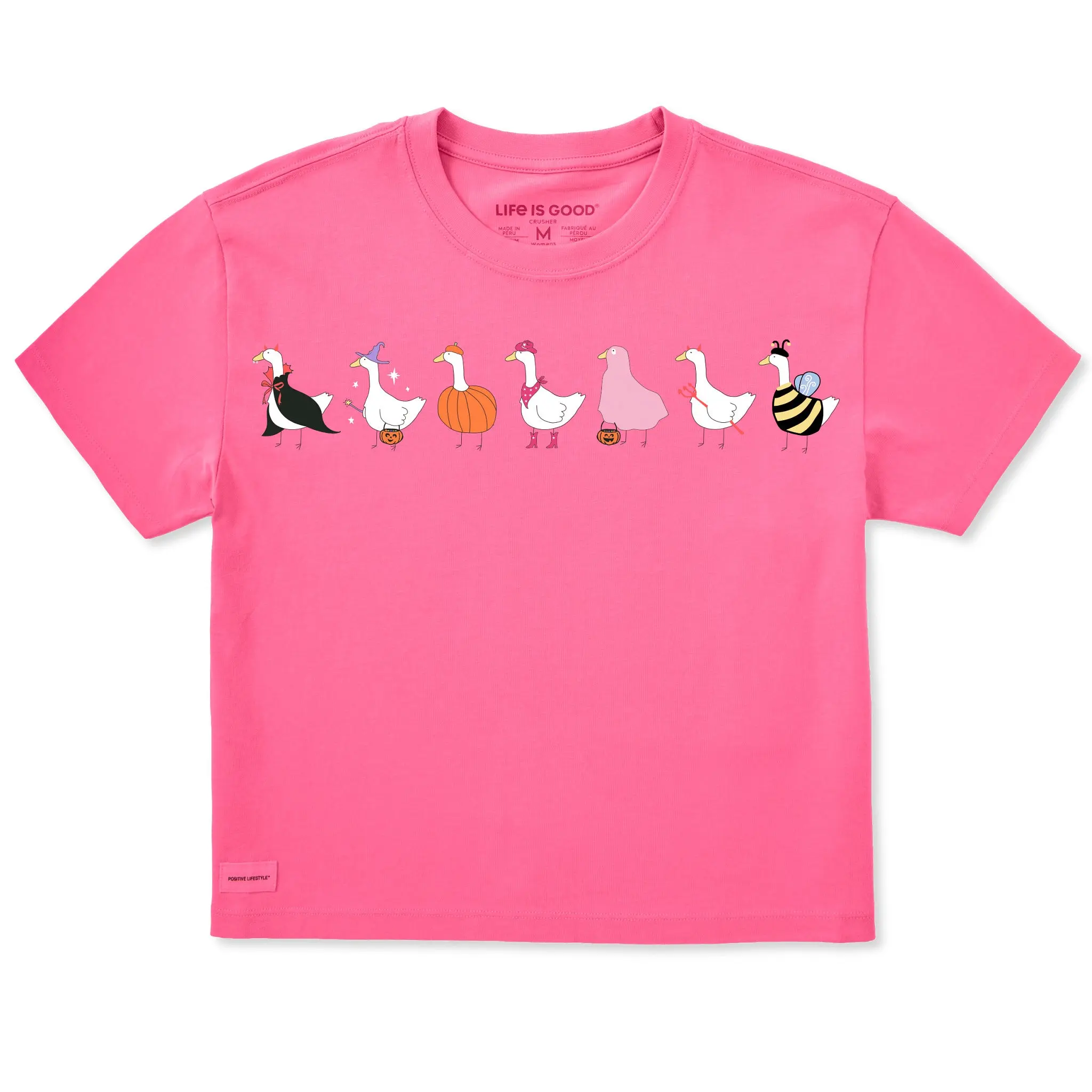 Women's Trick or Treat Geese Short Sleeve Crusher Boxy Tee
