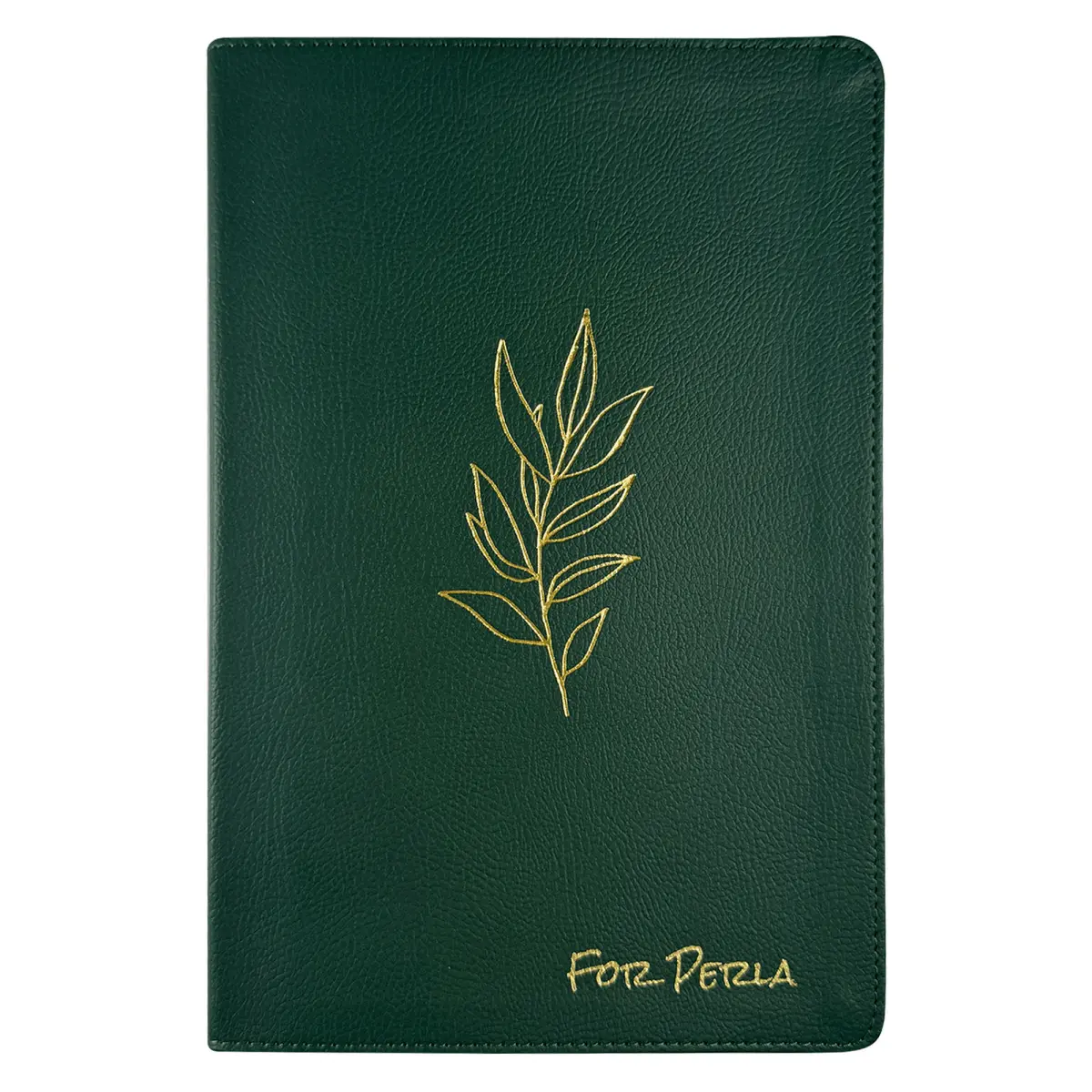 NLT Green Standard Size Premium Holy Bible Large Print - TIktok