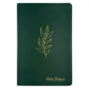 NLT Green Standard Size Premium Holy Bible Large Print - TIktok