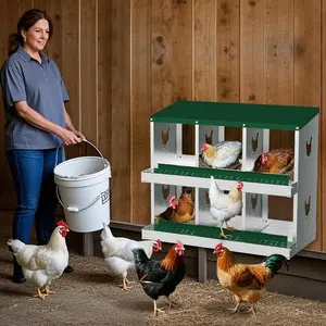 Gaomon 6-Compartment Galvanized Steel Chicken Nesting Box - Rollout Egg Collection, Large Ventilated Holes, Outdoor Hen Coop Furniture (Green)