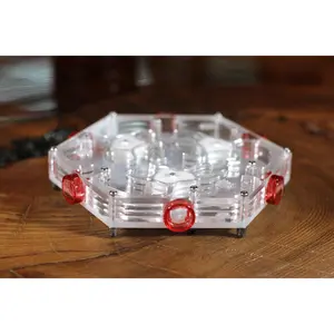 HexNest Branch - Clear Ant Formicarium