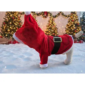 Santa Pet hoodie