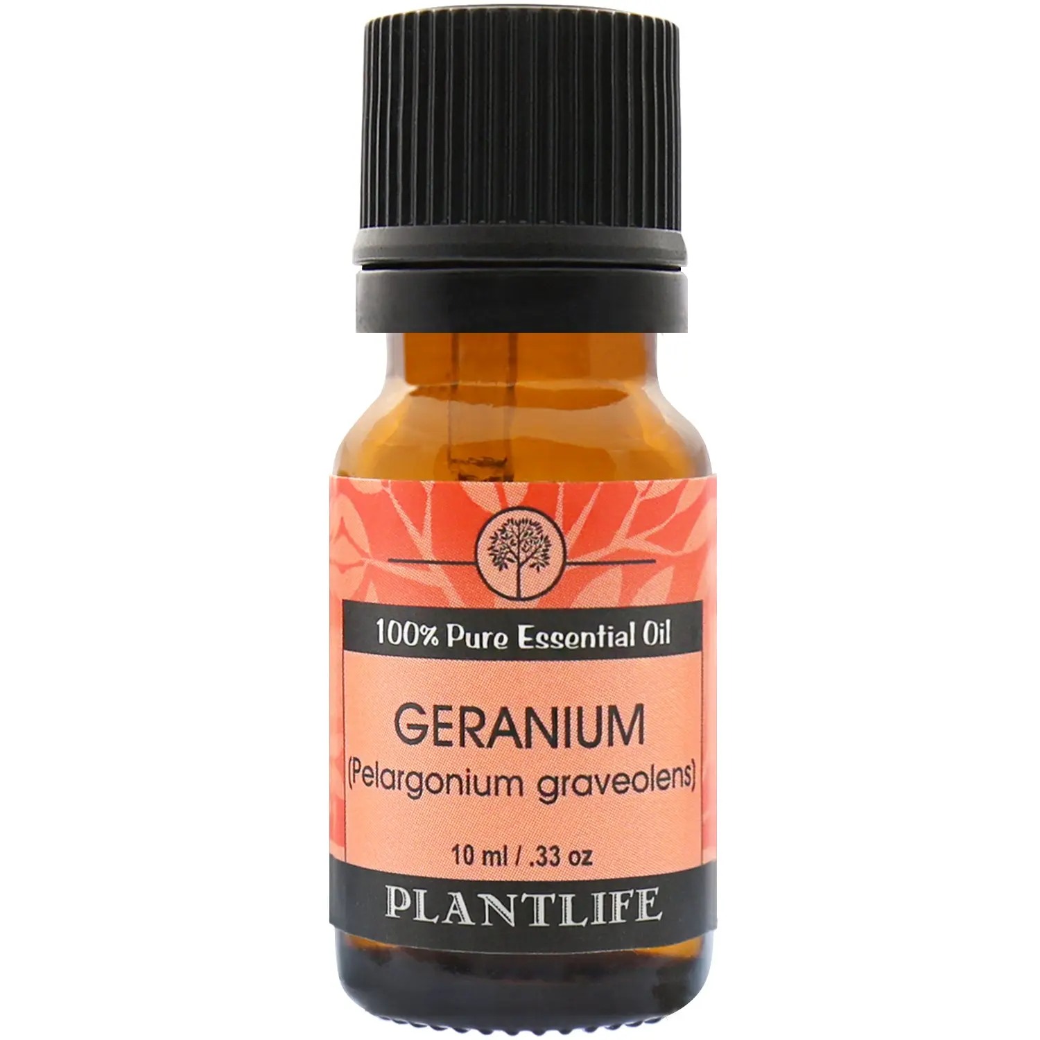 Geranium Essential Oil Geranium Essential Oil