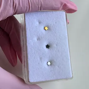 Titanium Basic Star Nose Stud
