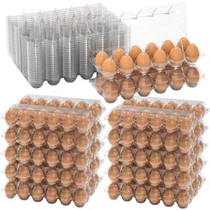 60 count Egg Cartons  Bulk, Large Egg Cartons Plastic 12 Count, 1 Dozen  Egg Container Holder for Storing, Sharing, Selling, Clear Egg Cartons for  Ranch Farm Market-2x6 Grids
