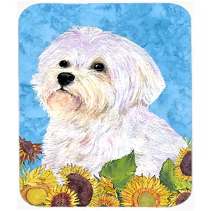 212 MAIN Non-Slip Mousepad, Heatproof, Multi-Use Hot Pad/Trivet, Permanently Dyed Computer Accessory