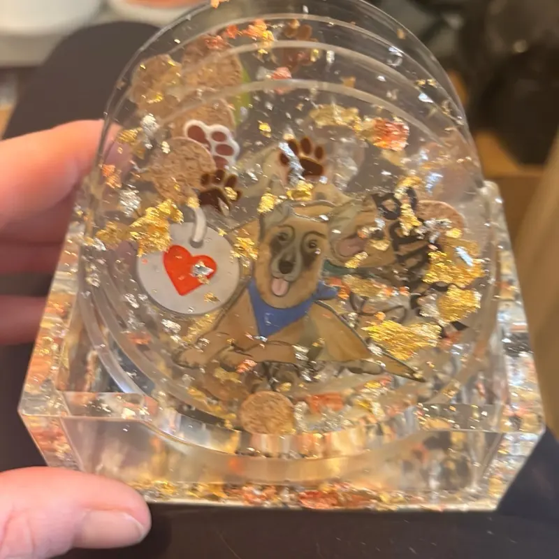 Dog themed coaster set