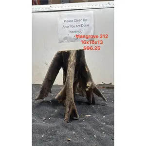 Mangrove Tree Stump 312