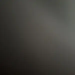 review image 5