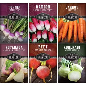 Survival Garden Seeds Root Vegetable Seed Collection Cool Weather Favorites 6 Pack Non-GMO Heirloom Seeds for Danvers Carrot Purple Top Turnip French Breakfast Radish White Kohlrabi American Purple Rutabaga Detroit Golden Beet White Vienna