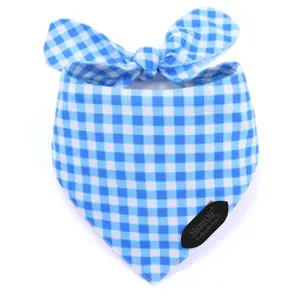 The Blue Gingham Bandana