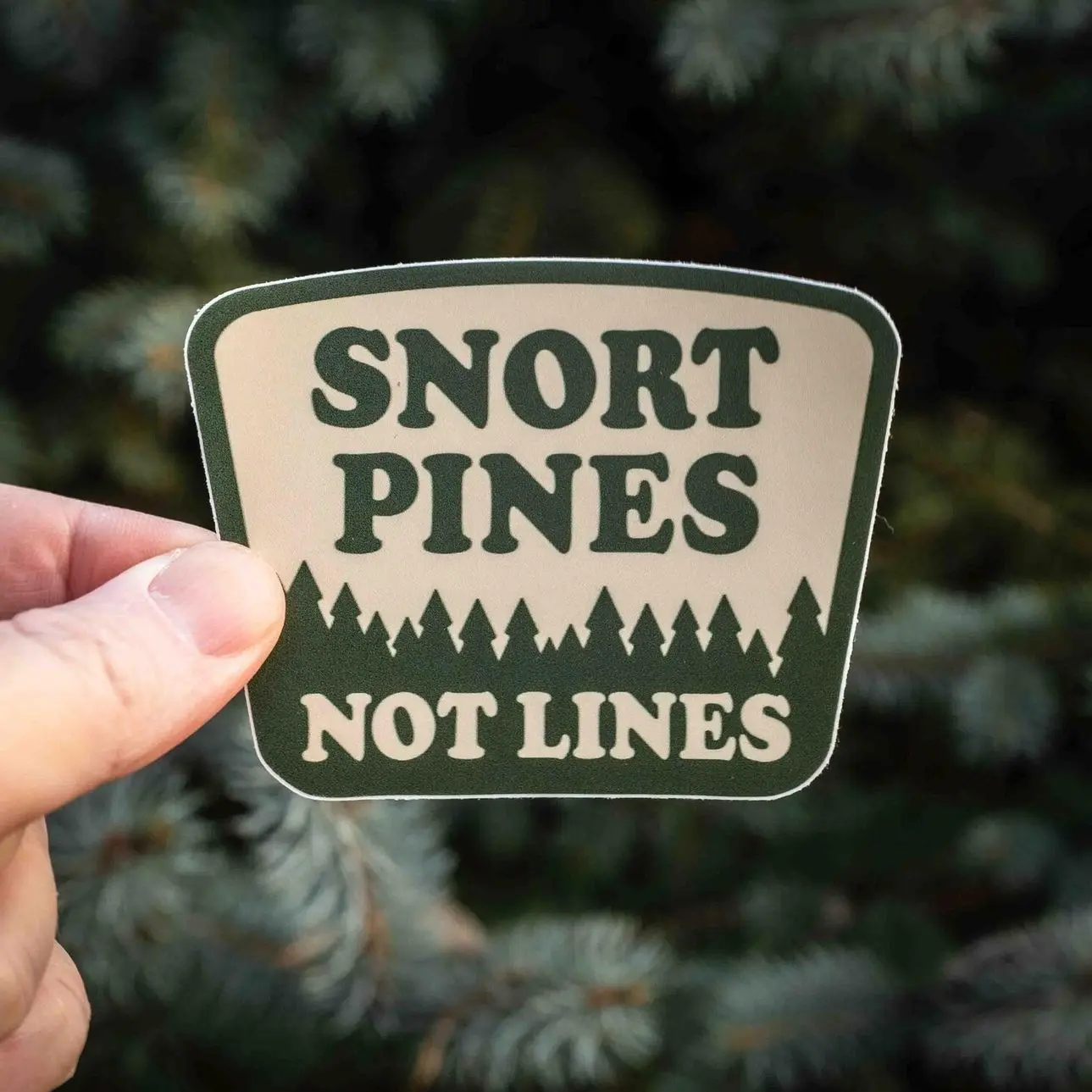 Snort Pines Not Lines, Outdoors Water Bottle Sticker, Funny Nature Sticker, Nalgene Sticker, Funny Sticker, Laptop Water Bottle Decal Sticker