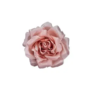MYRON ROSE CLIP