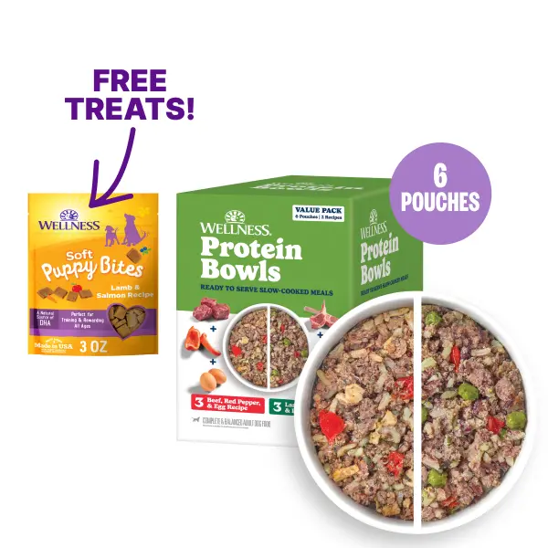 Wellness  Protein Bowls, Adult Fresh Alternative Dog Food, Wholesome Grains, 6.2 Ounce Pouch, 6 Pack, (Beef & Lamb Value Pack)