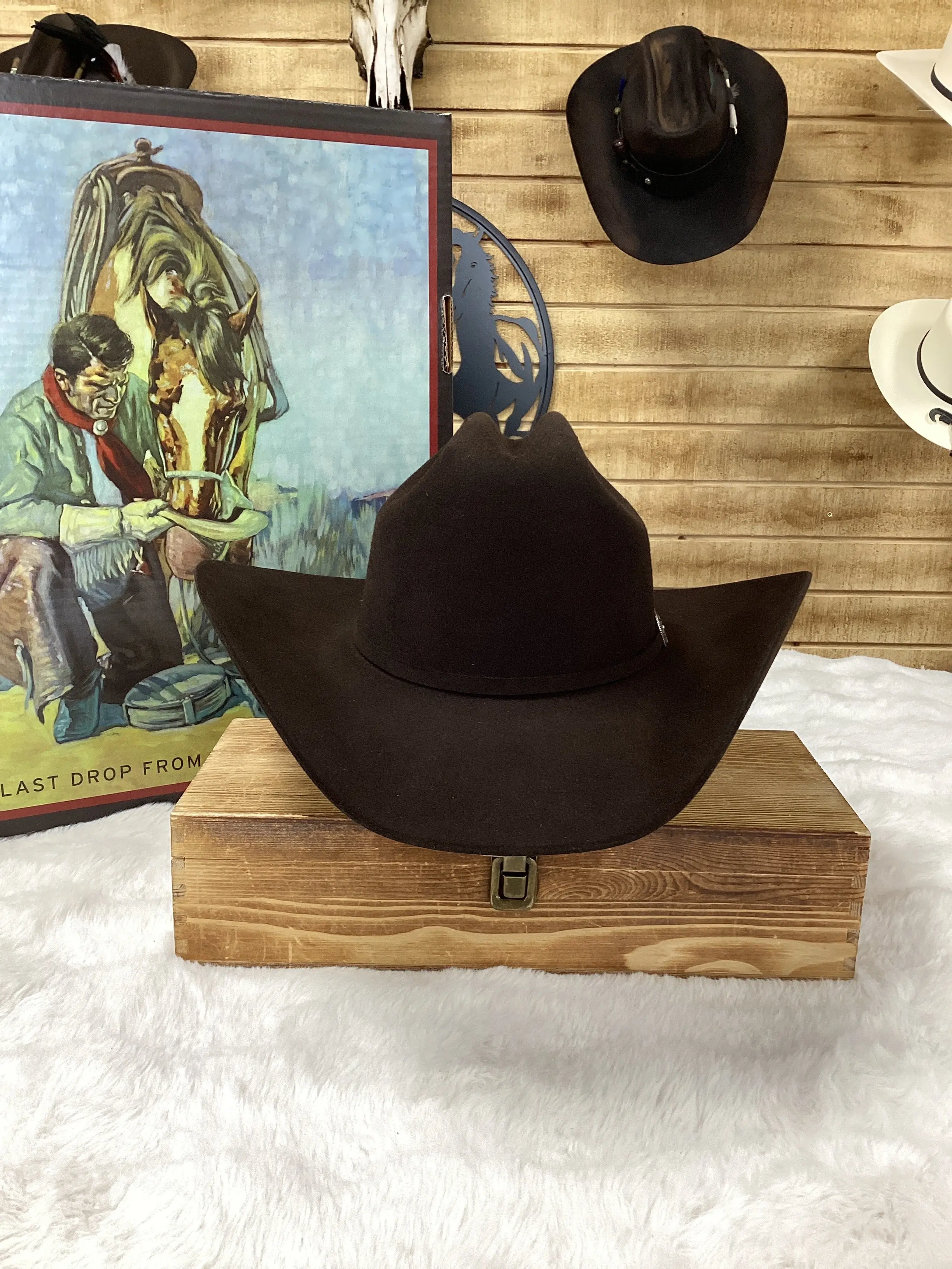 Stetson 6X Skyline Texana Felt Hat- Chocolate