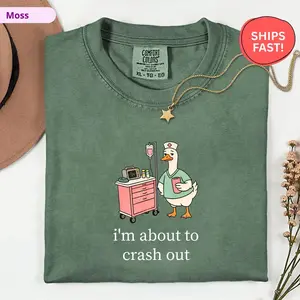 Silly Goose Nurse Shirt, Comfort Colors Funny Nurse Tee, I'm About to Crash Out, Night Shift CNA Gift, Nurse Appreciation