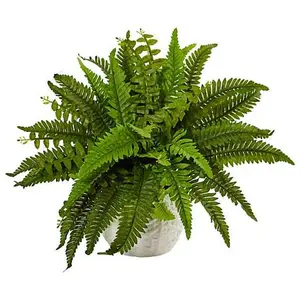 Nearly Natural Boston Fern in White Planter