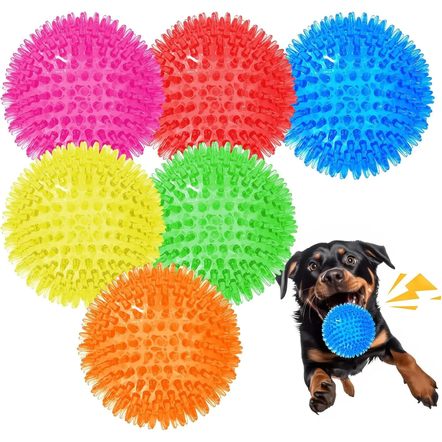 Medium Set of 6