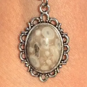 Cowry Fossil Crystal Necklace natural gemstone #handcrafted