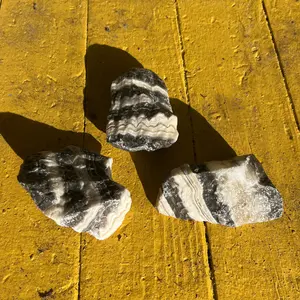 Large Zebra Jasper