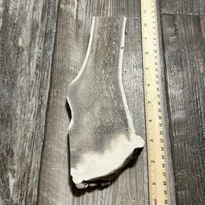 Jumbo Split Elk Antler Dog Chew, Premium All Natural Split Elk Antler From Montana!