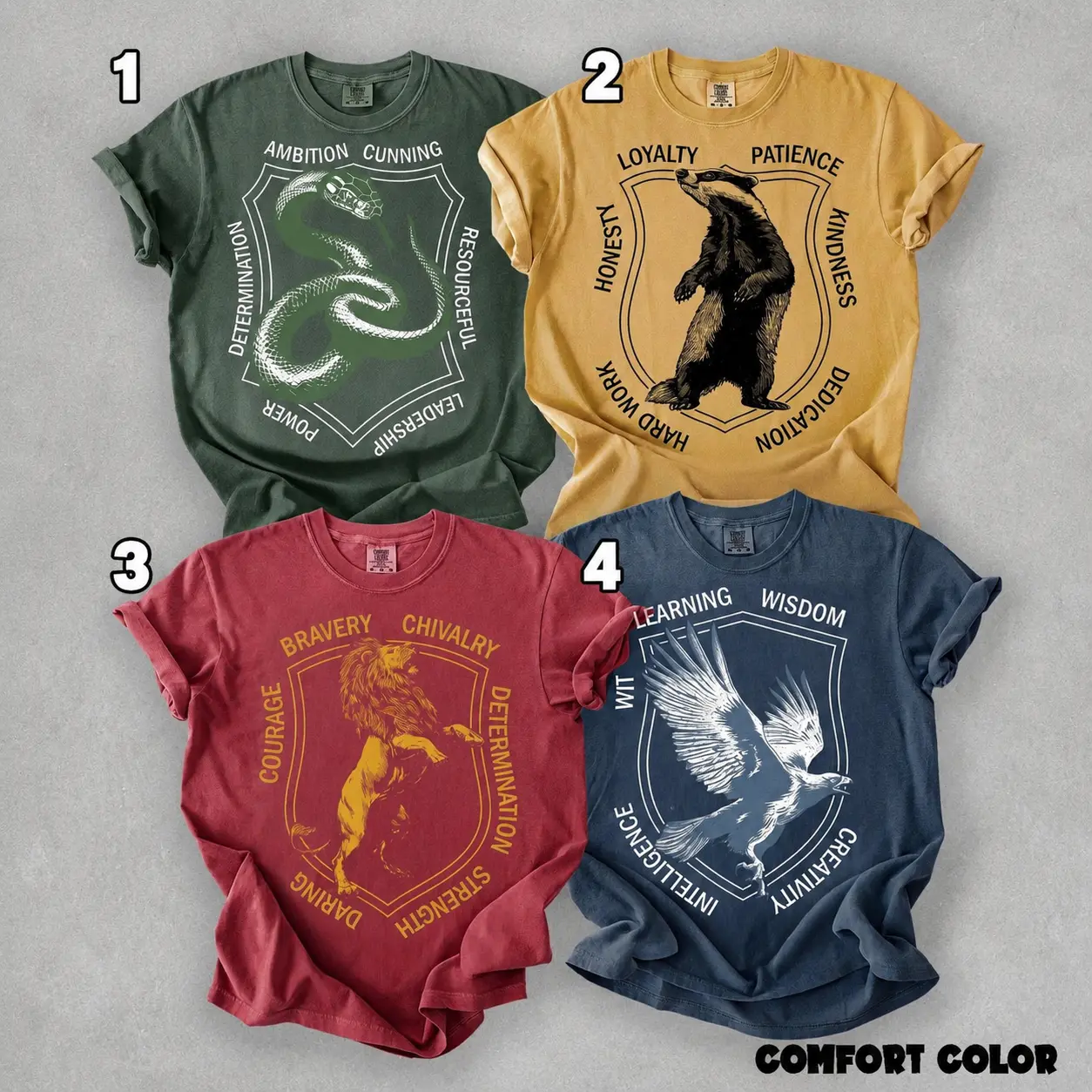 Wizard School Houses T-Shirt Set, Magical Fantasy Apparel.