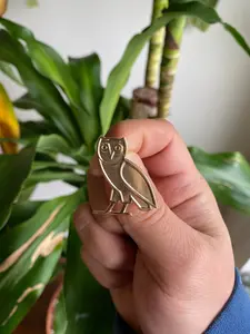 Gold Owl Hard Enamel Pin 🦉