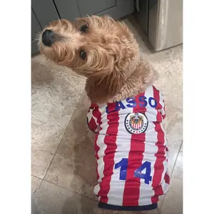 Chivas Team -Soccer dog Jersey