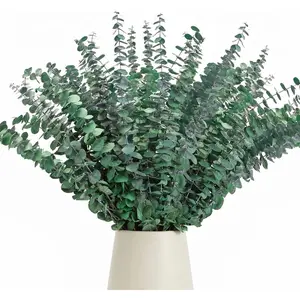 50 Pcs Preserved Eucalyptus Stems, 17 Inch Real Dried Eucalyptus Branches for Shower, Vase Arrangements, Home Decor, Wedding, Bathroom