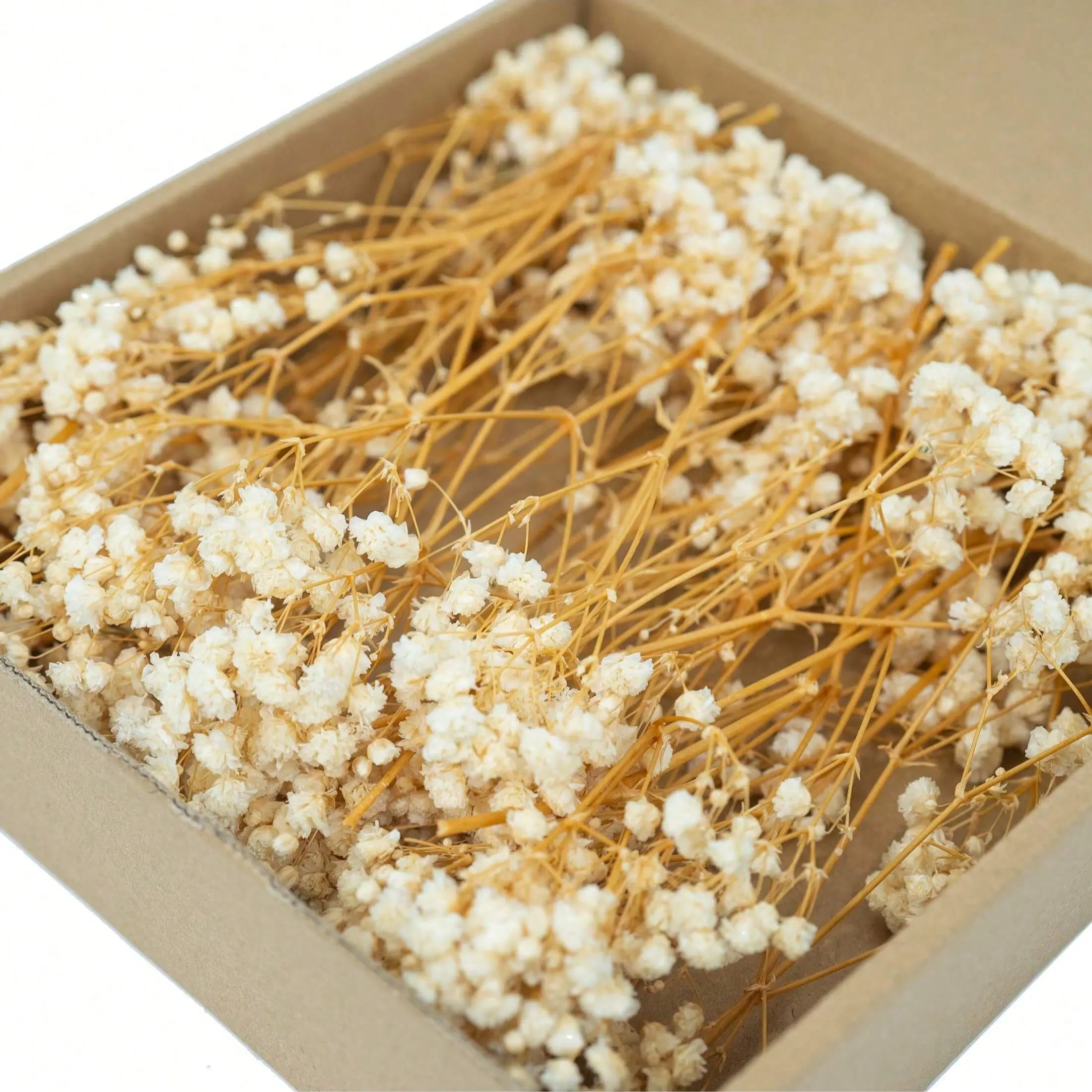 NortureFlora Dried Baby's Breath Decorative Flowers - Natural Stems with Unique Stem Shapes, Soft-Tone Blooms, Natural Variance (50/100/200/300/400 PCS Packs) - Mix with Other Blooms for Table, Room, Wedding Decor, Back To School