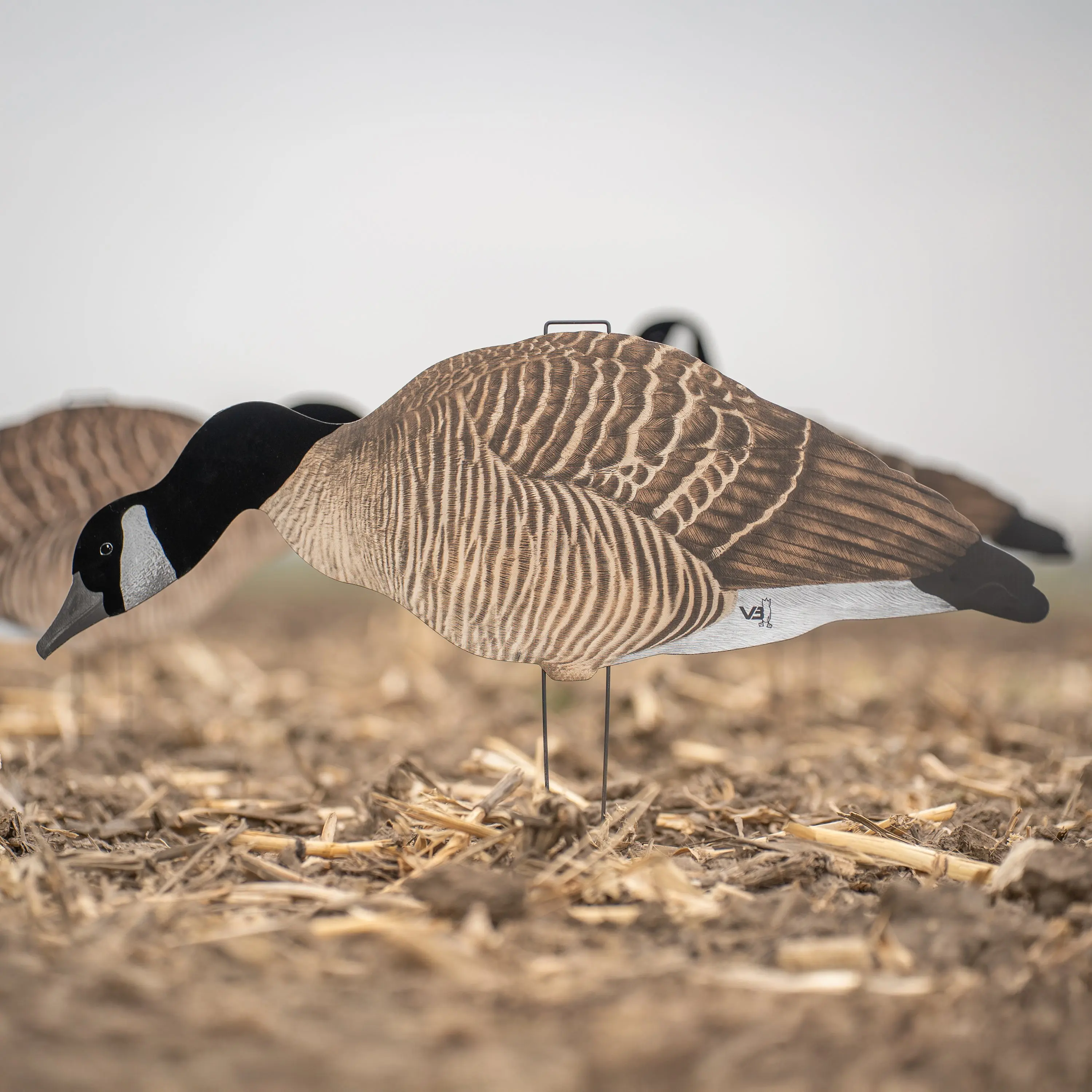 V3F Flocked Canada Silhouettes