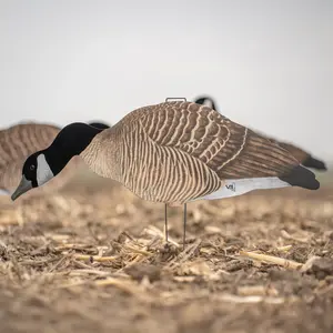 V3F Flocked Canada Silhouettes