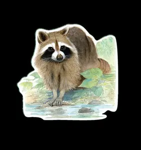 Raccoon Sticker