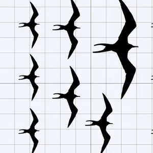 Iwa Bird Variety Pack (Includes 3 Sizes) Decal For Cars Truck Decals