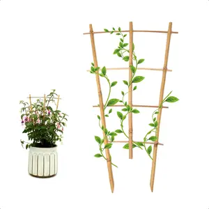 3-Pack 16" Bamboo Fan-Shaped Trellises – Natural Indoor Support for Climbing Monstera, Orchid & Hoya Houseplants