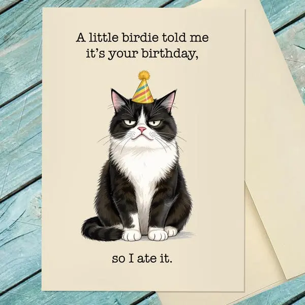 Funny Cat Birthday Greeting Card – Cute & Humorous Birthday Card for Cat Lovers