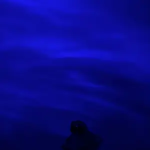 JEYUIN 16-Color Changing Star Projector Light,2 Scene - Ocean Wave & 3D Water Ripple Projector Light,Star Projector with Remote Control for Bedroom Decoration, Party,Star Night Light Romantic Mood Lighting Effects Christmas gift Rgb Colorful