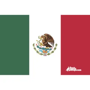 Mexico 12x18 Pocket Whip Flag For 1/4" & 5/16" Whips