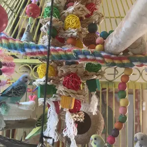 Bird Toys, Parrot Toys for Large Birds,Natural Corn cob and Loofah Slices Bird chew Toys for African Grey Parrots, Macaws, Cockatoos, Amazon Parrot and other Small and Medium-Sized Parrot (Colorful)