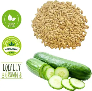 50+ Cucumber Seeds - Heirloom Non-GMO USA Grown Vegetable Seeds for Planting - Pickling and Slicing Cucumber