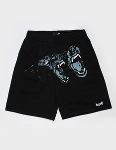 WELCOME SKATEBOARDS Woof Mens Mesh Shorts