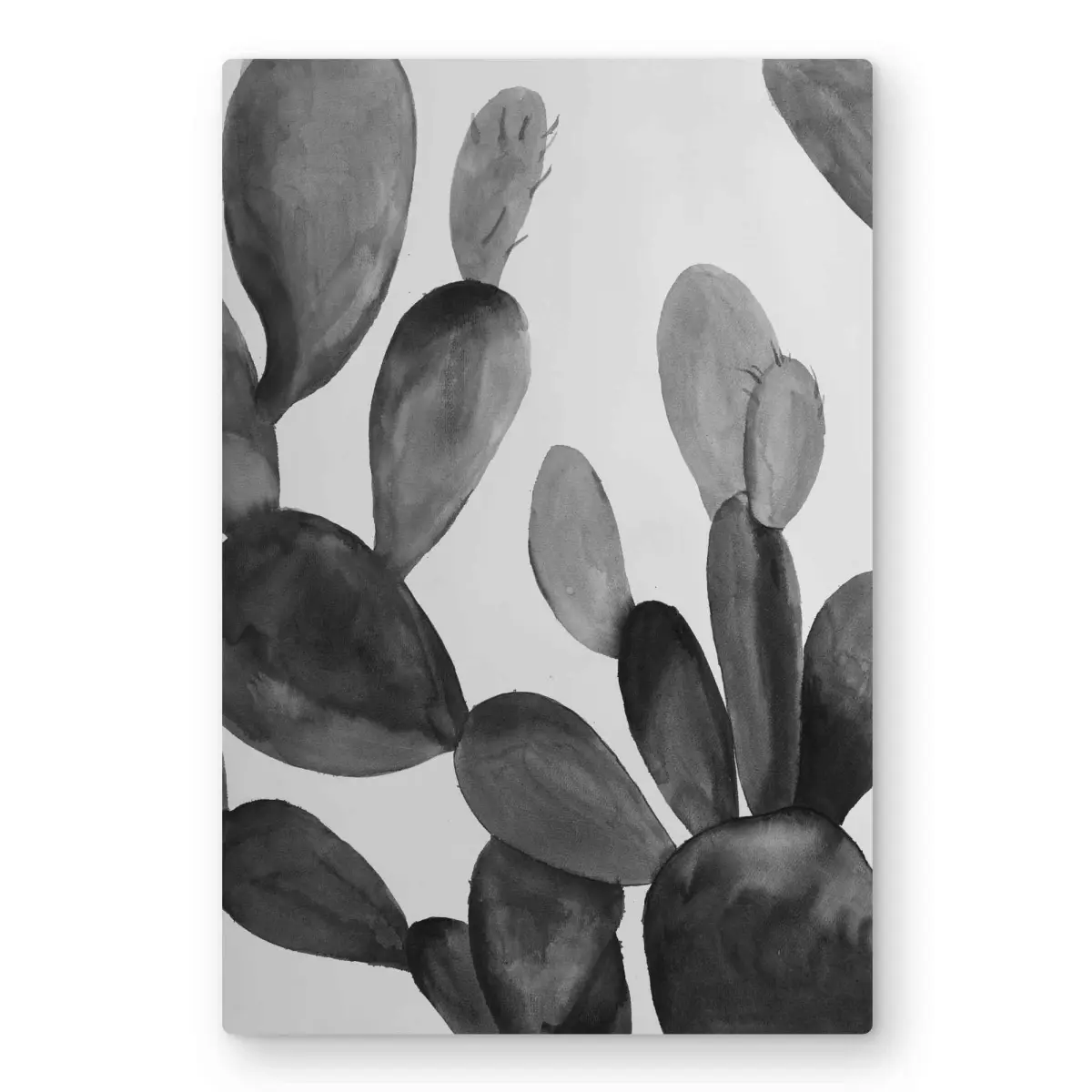 Begin Home Decor C1MP2030SUBMZ0 20 x 30 in. Grayscale Cactus - Office Floral Metal Print Wall Art for Home Decor