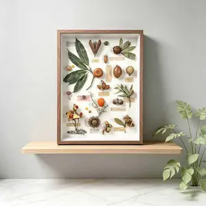 1pcs Specimen Storage Display Box, A4 Size Acrylic Organizer, Retro Style, Universal Placement, Durable and Scratch Resistant