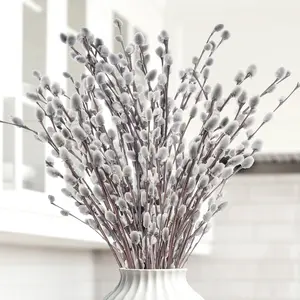 35 Pcs Real Dried PussyWillow Preserved Greenery Branches for Vase- Natural PussyWillow with White Flowers, Snow Willow Branches for Wedding Home Party Office Hotel Fireplace Yard Decor