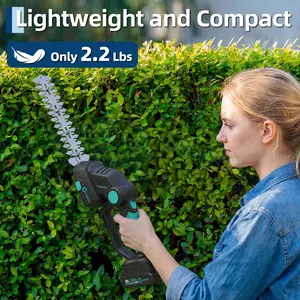 Wireless 2-in-1 Grass Shear & Shrubbery Trimme, 20 V Electric Hedge Shears with 2 x 2.0 Ah Batteries and Charging Base Lightweight, Ideal for Garden & Lawn Maintenance