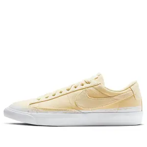 Nike Blazer Low Canvas SB 'NYC Editions: Procell' CJ0692-100