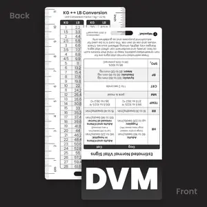 DVM
