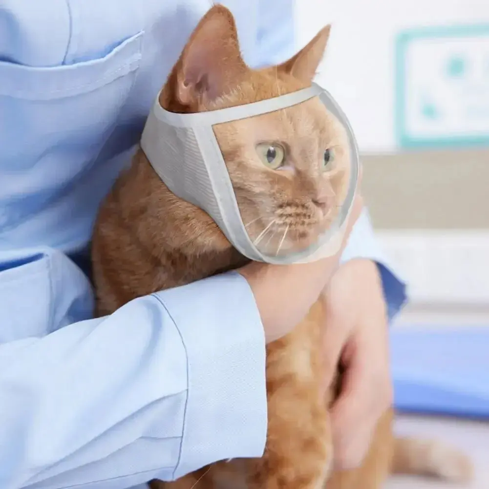 Transparent Anti-Bite Cat Muzzle – Adjustable Breathable Grooming Muzzle for Small Cats (S & M)