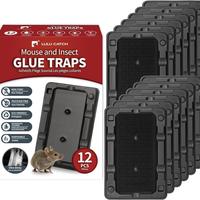 Small Traps 12 Pack